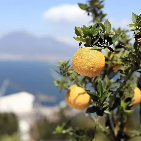 Relais Manfredi 3* Castellammare di Stabia